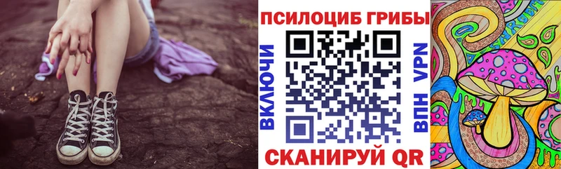 Галлюциногенные грибы GOLDEN TEACHER Купить где Буй